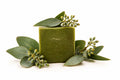 Eucalyptus Tallow cold process