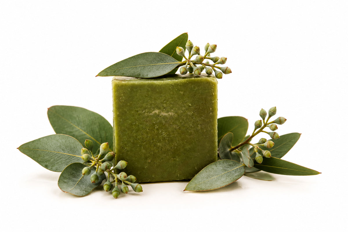 Eucalyptus Tallow cold process