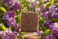 Lilac Cold process soap